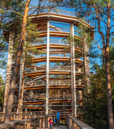 Le Chemin des Cimes Alsace