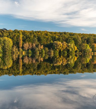 La Réserve naturelle du plan d’eau de Reichshoffen