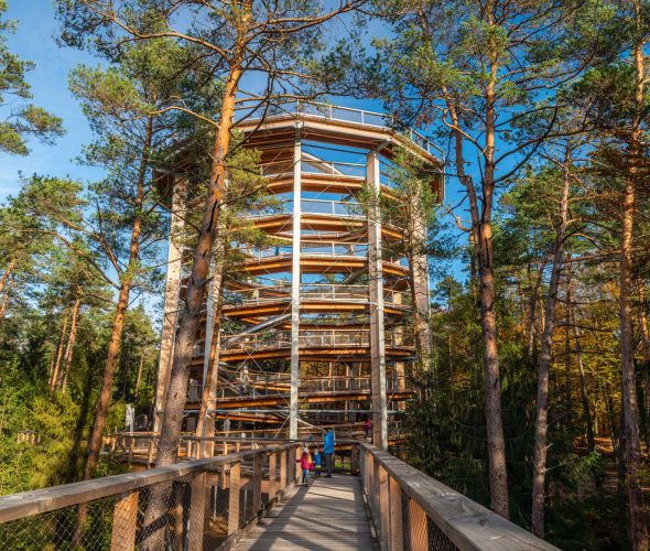 Randonnée de Climbronn au Chemin des Cimes Alsace
