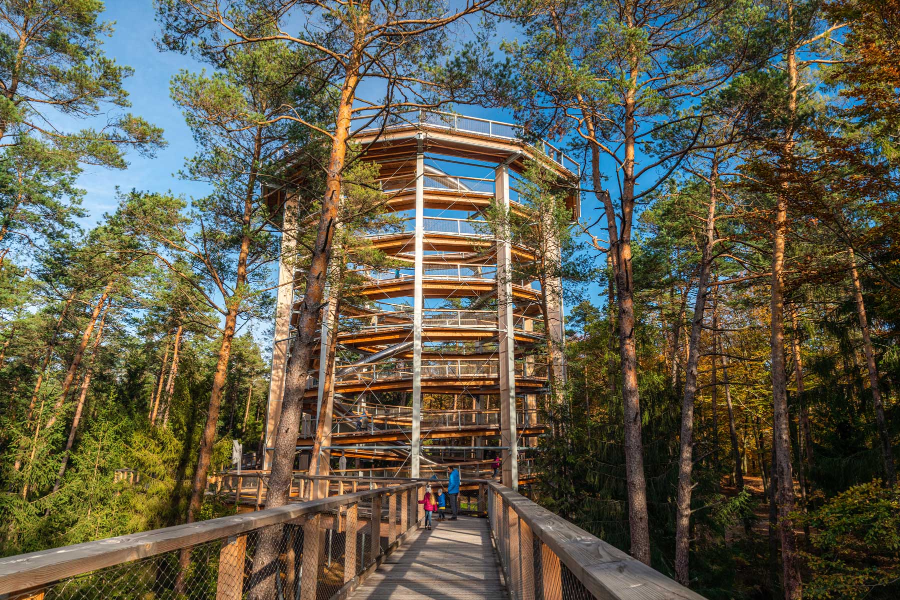 Randonnée de Climbronn au Chemin des Cimes Alsace