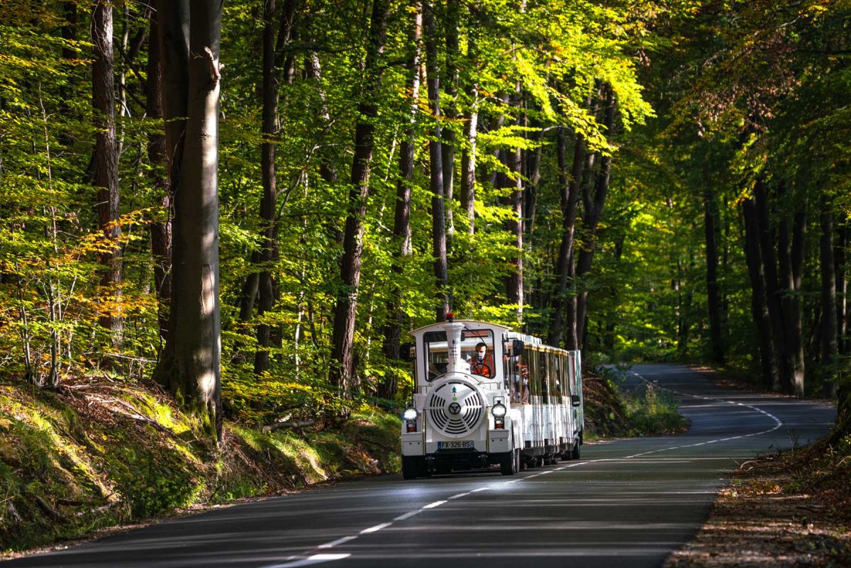 tour en bois alsace