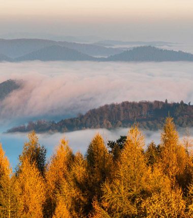 Développement durable