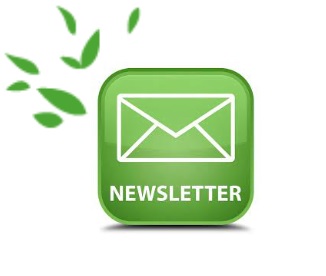 Les Newsletters