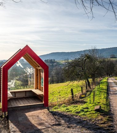 La Traversée du Massif des Vosges (GR 53)