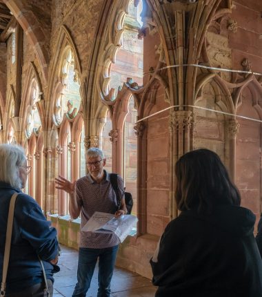 Vos visites guidées en Alsace Verte