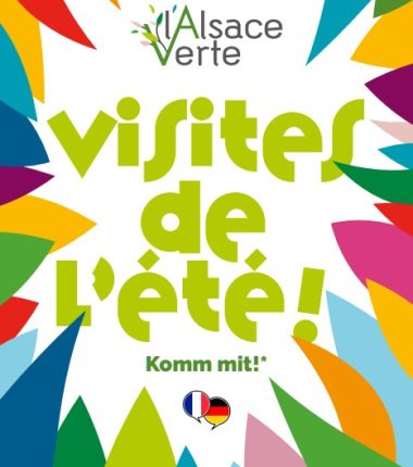 Visites de l&rsquo;Été