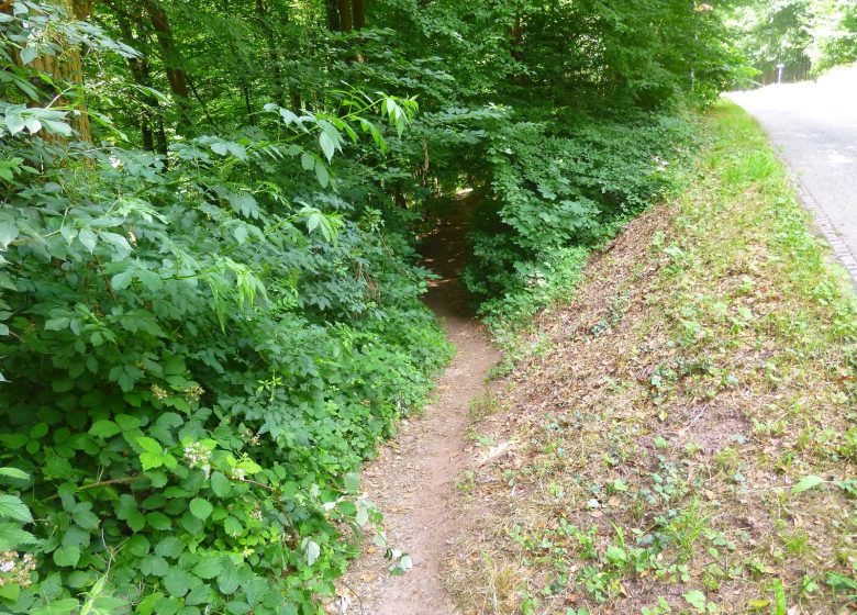 Beklimming van de Grote Wintersberg