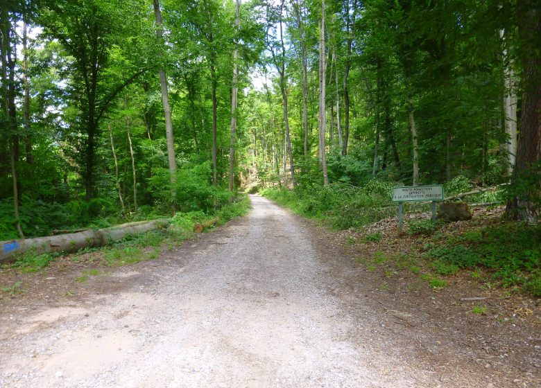 Beklimming van de Grote Wintersberg