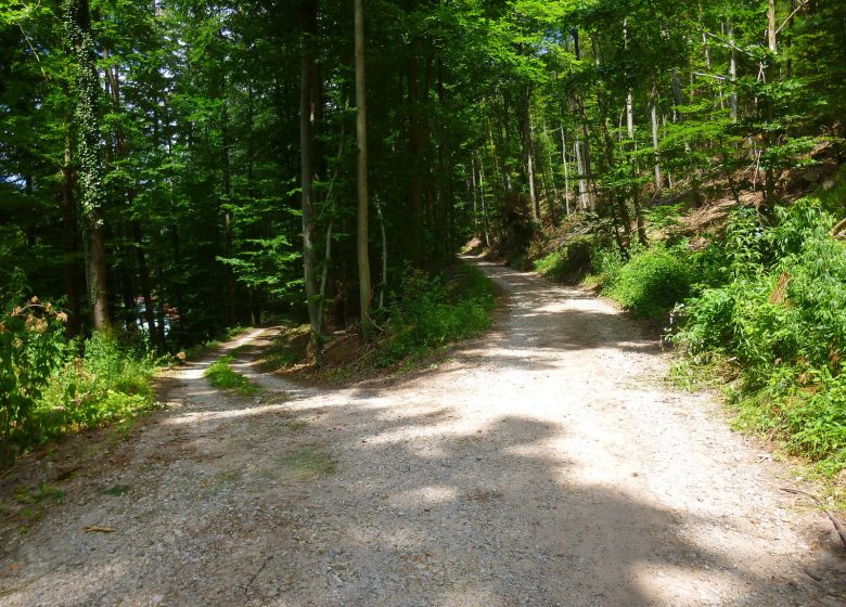 Ascension du Grand Wintersberg