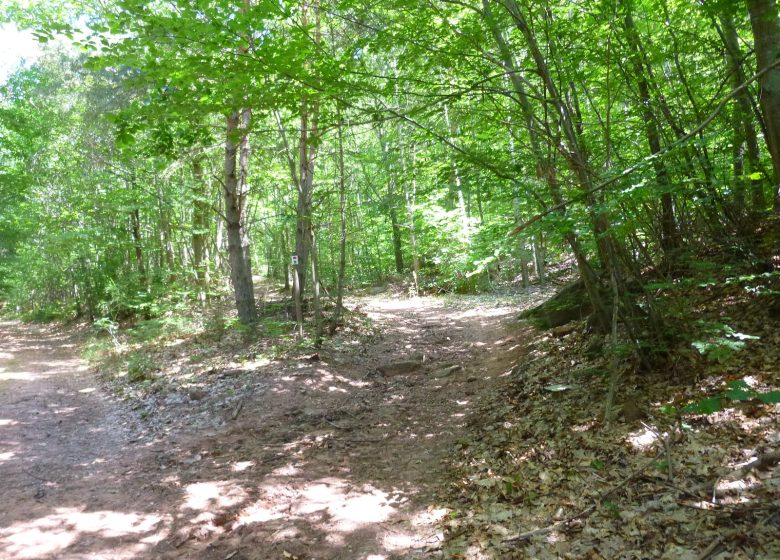 Beklimming van de Grote Wintersberg