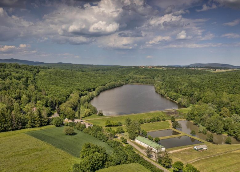 Découverte de la réserve du plan d&rsquo;eau de Reichshoffen