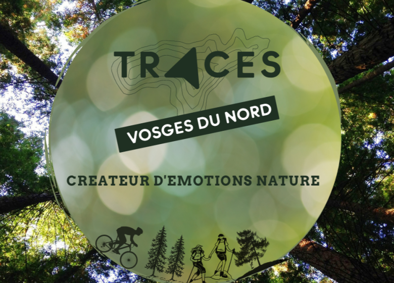Agence Traces Vosges du Nord – Créateur d’émotions nature