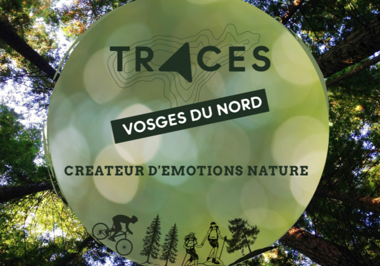 Agence Traces Vosges du Nord – Créateur d&rsquo;émotions nature