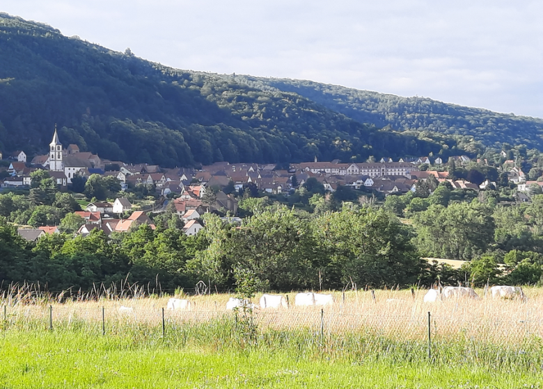 Campingplatz Seasonova Die Nordvogesen