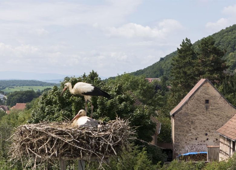 Hôtellerie du Couvent