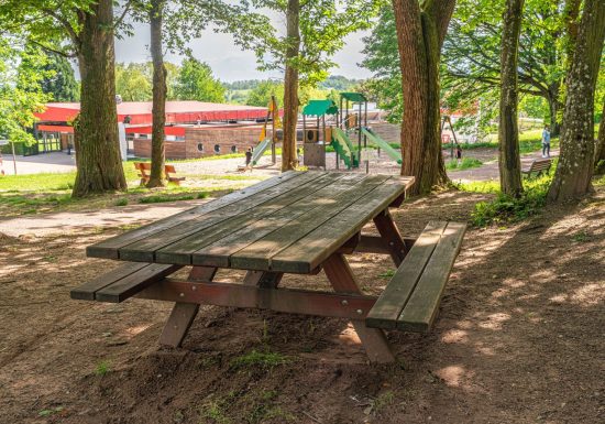 Aire naturelle de jeux et de pique-nique de la Châtaigneraie