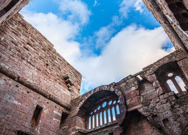 Château de la Wasenbourg