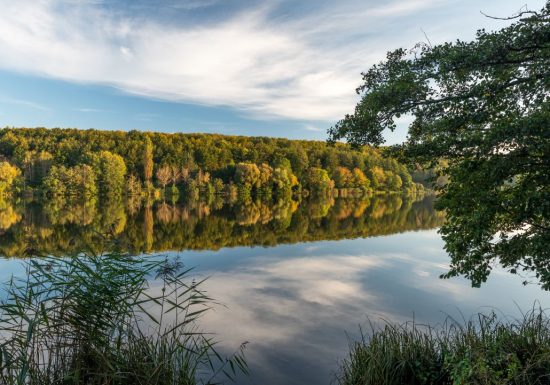 Reichshoffen – Nehwiller