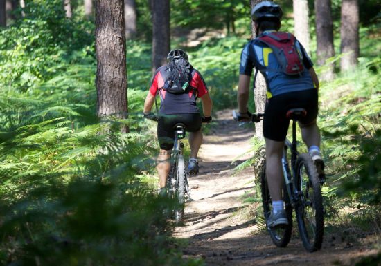 Sendero para bicicletas de montaña Taubensee