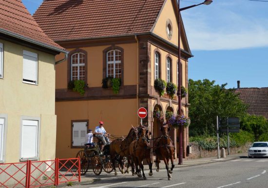 Gundershoffen – Griesbach – Eberbach – Schirlenhof – Ingelshof