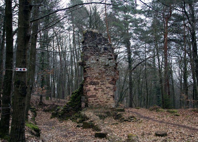 Ruine de la Frauenkirch