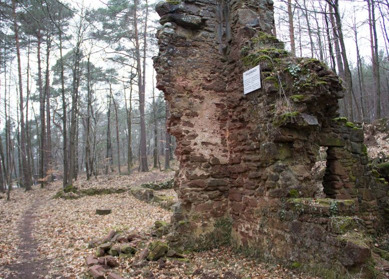 Ruine de la Frauenkirch