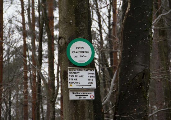 Ruine de la Frauenkirch