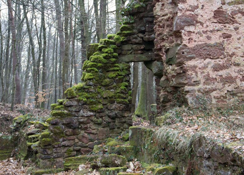 Ruine de la Frauenkirch