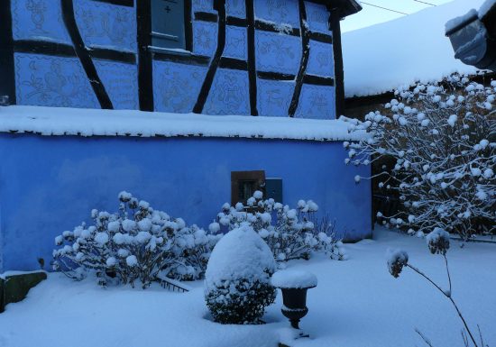 Brunch de l’Avent à la Ferme Bleue
