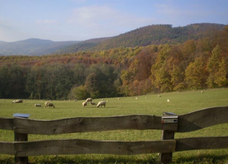 Meublé L’Annexe – Le Riesack