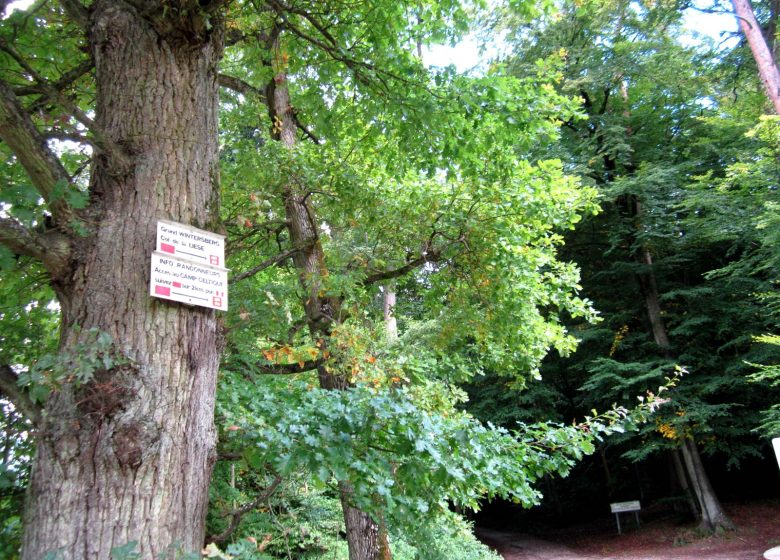 Hiking route to the Greater Wintersberg