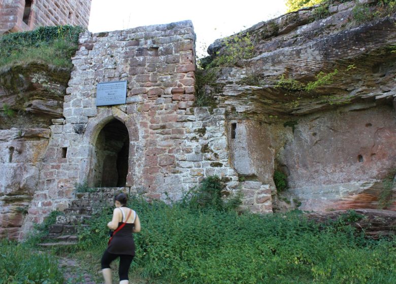 Sendero de fauna y flora al castillo de Wasenbourg