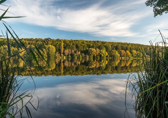 Circuit de randonnée vers le plan d&rsquo;eau de Reichshoffen