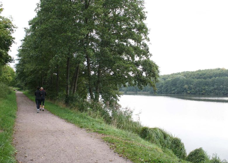 Wandelcircuit van het zwembad naar het water