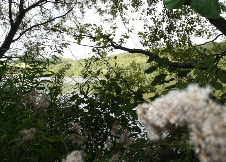 Wandelcircuit van het zwembad naar het water