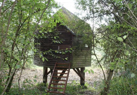 Circuit de randonnée vers le plan d&rsquo;eau de Reichshoffen