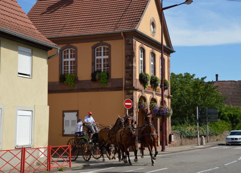 Circuit de randonnée : les 5 villages