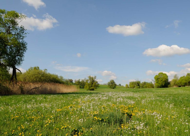 Wandelcircuit: de 5 dorpen