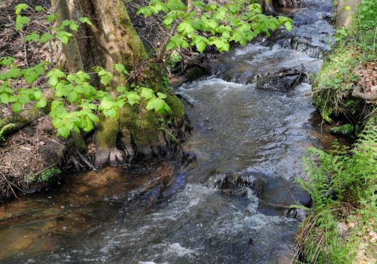 Circuit de randonnée vers les châteaux de Windstein