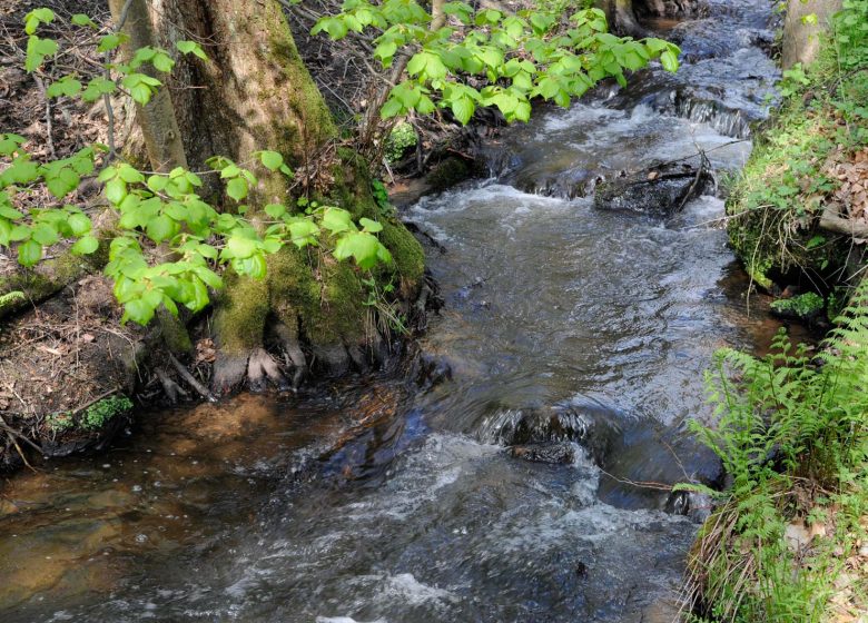 Wanderweg zu den Windsteiner Schlössern