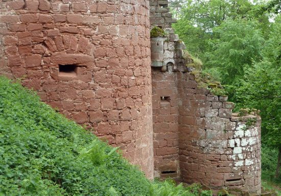 Circuit de randonnée aux châteaux du Schoeneck et du Wineck