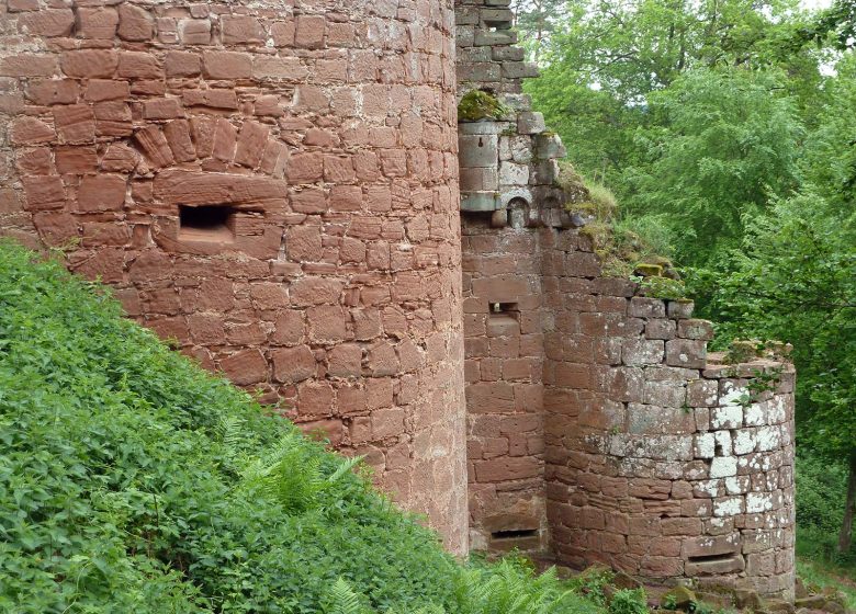 Excursión de senderismo a los castillos de Schoeneck y Wineck