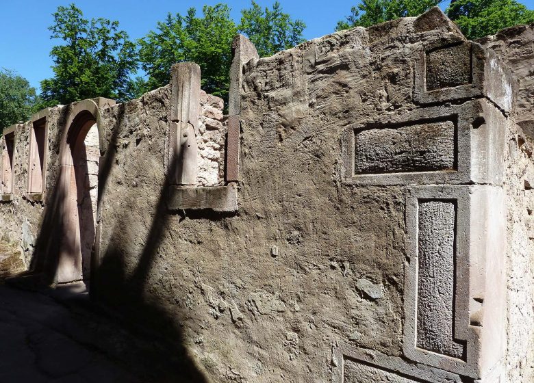 Excursión de senderismo a los castillos de Schoeneck y Wineck