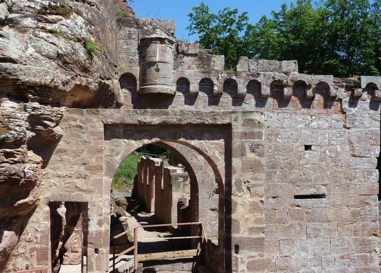 Excursión de senderismo a los castillos de Schoeneck y Wineck