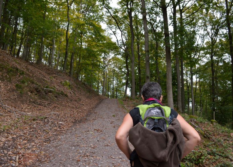 Caminata desde Hohenfels hasta Greater Wintersberg