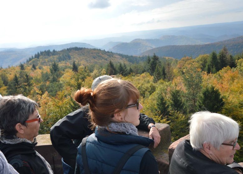 Hike from Hohenfels to Greater Wintersberg