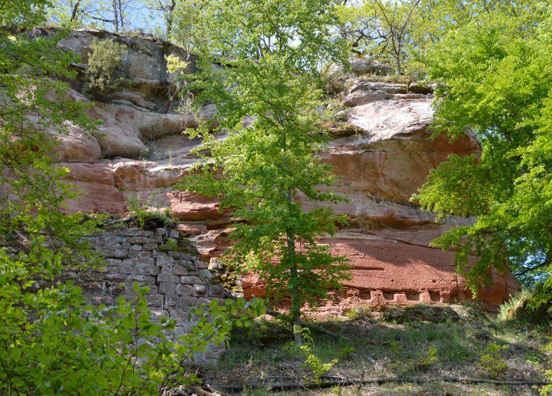 Wandeling van Hohenfels naar Greater Wintersberg