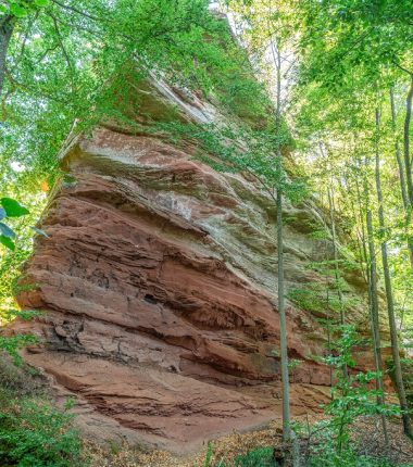 Circuit de randonnée les hauteurs de Dambach par le Hohenfels