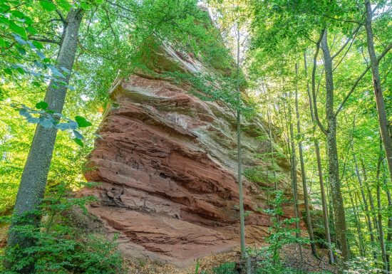 Hike from Hohenfels to Greater Wintersberg