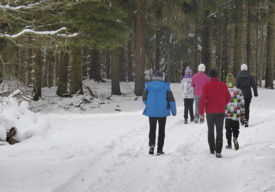 Hike from Hohenfels to Greater Wintersberg
